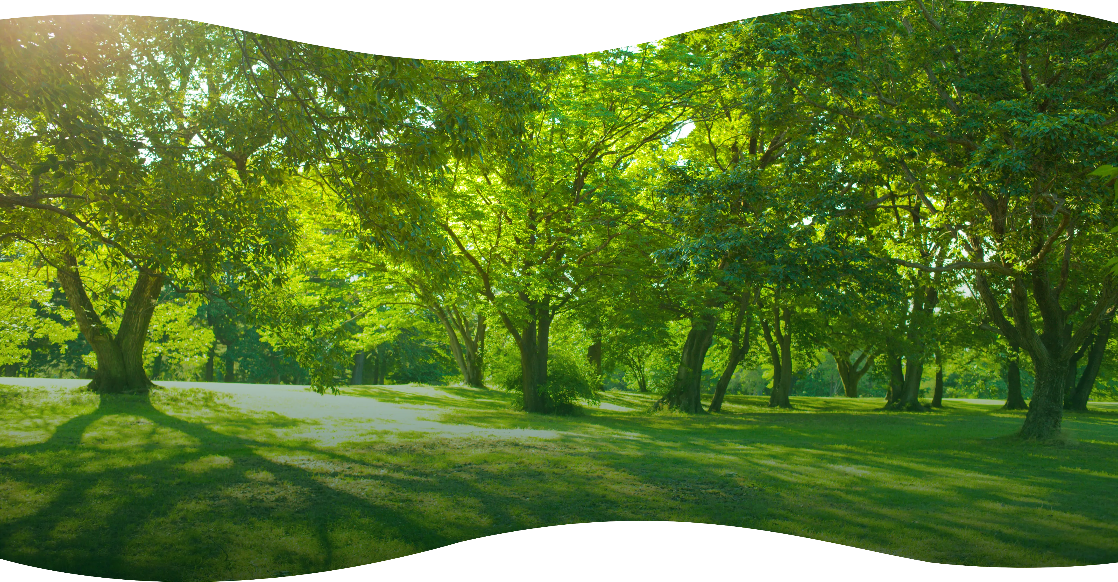 驚きのアクセス